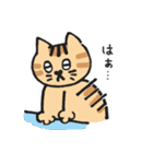 いつもねむいねこのスタンプ（個別スタンプ：18）