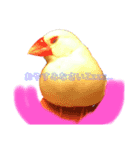 ふわふわ白文鳥^( 'Θ' )^（個別スタンプ：1）