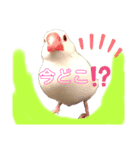 ふわふわ白文鳥^( 'Θ' )^（個別スタンプ：7）