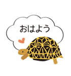 吹き出しホシガメ（個別スタンプ：1）