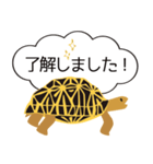 吹き出しホシガメ（個別スタンプ：5）