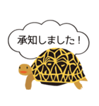 吹き出しホシガメ（個別スタンプ：6）