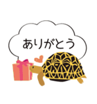 吹き出しホシガメ（個別スタンプ：11）