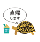 吹き出しホシガメ（個別スタンプ：15）