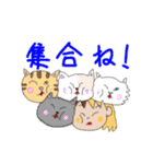 ネコネコネの使えるスタンプ（個別スタンプ：17）