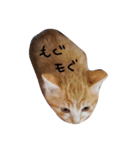 とら猫とらみ（個別スタンプ：6）