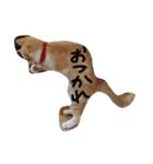 とら猫とらみ（個別スタンプ：11）