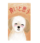 犬のちゃちゃまる BIG（個別スタンプ：19）