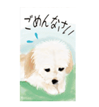 犬のちゃちゃまる BIG（個別スタンプ：25）