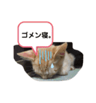 Johnny と Chocola（個別スタンプ：8）