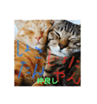 Johnny と Chocola（個別スタンプ：16）