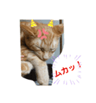 Johnny と Chocola（個別スタンプ：17）