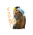 Johnny と Chocola（個別スタンプ：20）