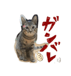 Johnny と Chocola（個別スタンプ：39）