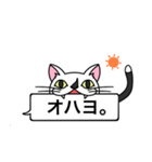 猫のサダハル日常で使える吹き出しスタンプ（個別スタンプ：1）