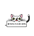 猫のサダハル日常で使える吹き出しスタンプ（個別スタンプ：5）