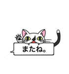 猫のサダハル日常で使える吹き出しスタンプ（個別スタンプ：12）