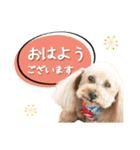 チーム  ガク（個別スタンプ：1）
