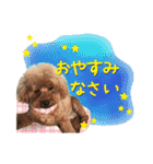 チーム  ガク（個別スタンプ：3）