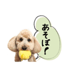 チーム  ガク（個別スタンプ：8）