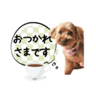 チーム  ガク（個別スタンプ：9）