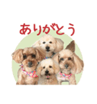 チーム  ガク（個別スタンプ：15）