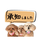 チーム  ガク（個別スタンプ：17）