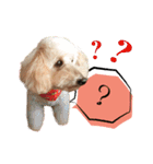 チーム  ガク（個別スタンプ：18）