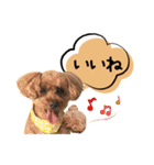チーム  ガク（個別スタンプ：19）
