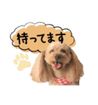 チーム  ガク（個別スタンプ：20）