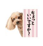 チーム  ガク（個別スタンプ：23）