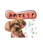 チーム  ガク（個別スタンプ：25）