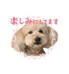チーム  ガク（個別スタンプ：27）
