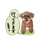 チーム  ガク（個別スタンプ：29）