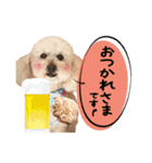 チーム  ガク（個別スタンプ：31）