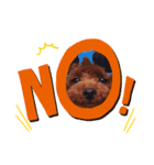 犬犬犬犬犬いっぬ（個別スタンプ：4）