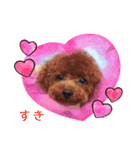 犬犬犬犬犬いっぬ（個別スタンプ：5）