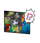 メインクーンの子猫みくちゃんスタンプ（個別スタンプ：1）