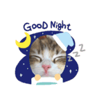 メインクーンの子猫みくちゃんスタンプ（個別スタンプ：3）