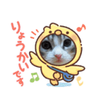 メインクーンの子猫みくちゃんスタンプ（個別スタンプ：5）