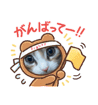 メインクーンの子猫みくちゃんスタンプ（個別スタンプ：11）