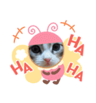 メインクーンの子猫みくちゃんスタンプ（個別スタンプ：13）