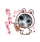 メインクーンの子猫みくちゃんスタンプ（個別スタンプ：15）