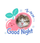 メインクーンの子猫みくちゃんスタンプ（個別スタンプ：19）