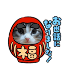 メインクーンの子猫みくちゃんスタンプ（個別スタンプ：20）