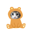 メインクーンの子猫みくちゃんスタンプ（個別スタンプ：23）