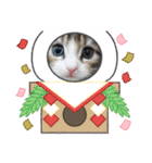 メインクーンの子猫みくちゃんスタンプ（個別スタンプ：26）