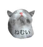 ムロウリ①（個別スタンプ：4）