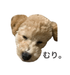 やまと 1（個別スタンプ：5）