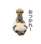 やまと 1（個別スタンプ：7）